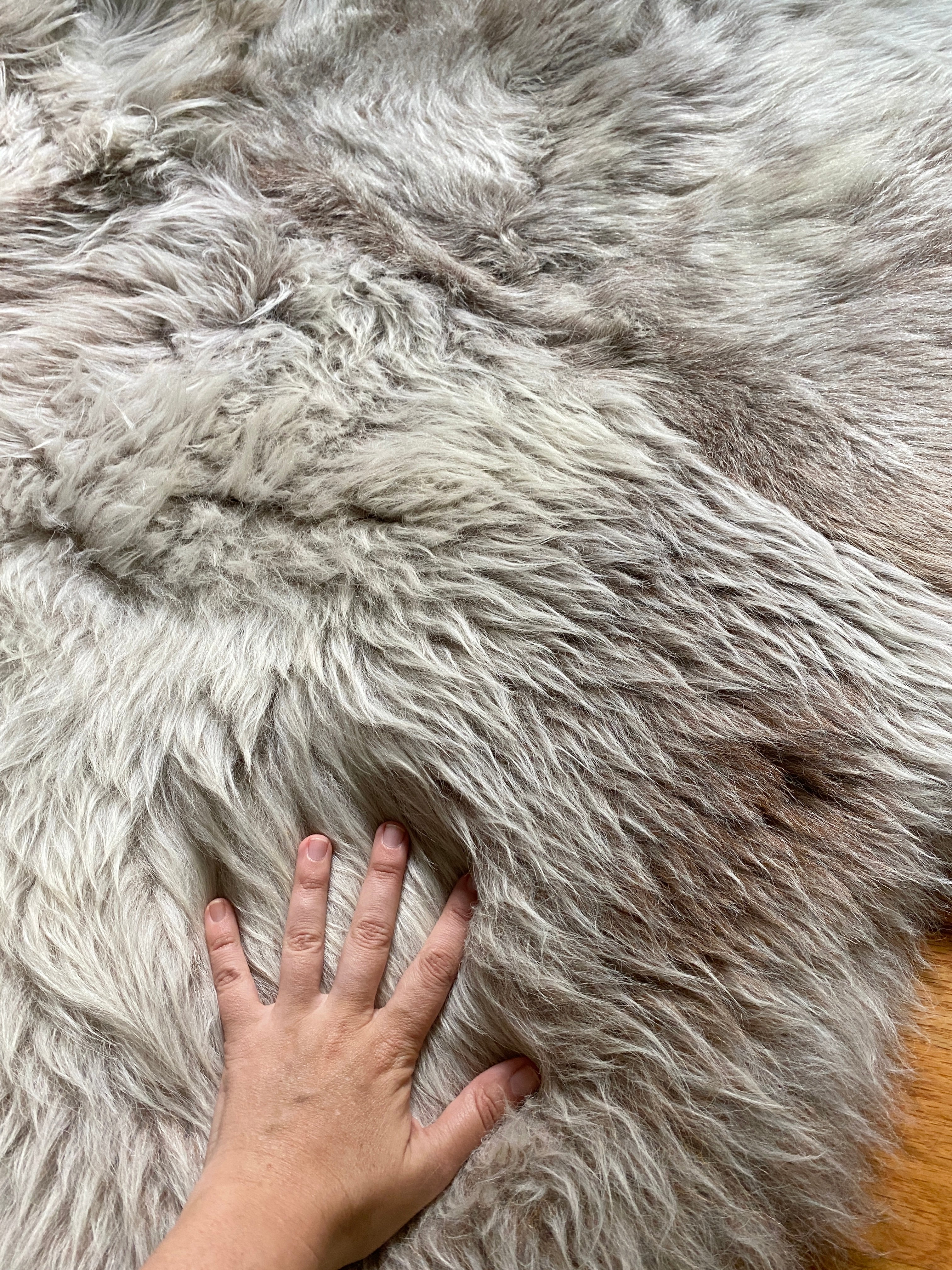 Sacred Spaces Collection: Sexto in Mixed Rosey Beige Grey (6 pelt)