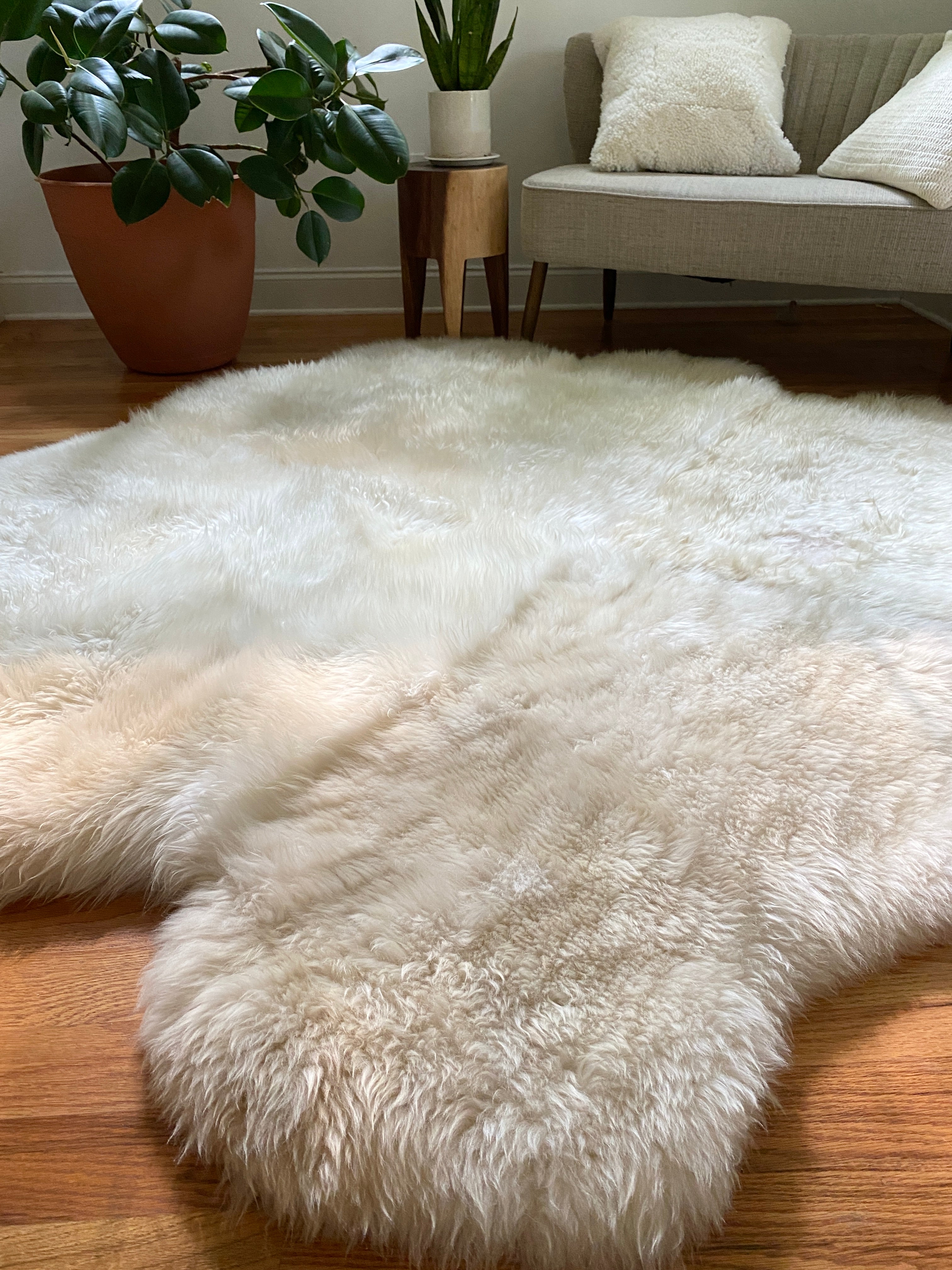 SACRED SPACES COLLECTION: GOLDEN IVORY SEXTO SHEEPSKIN