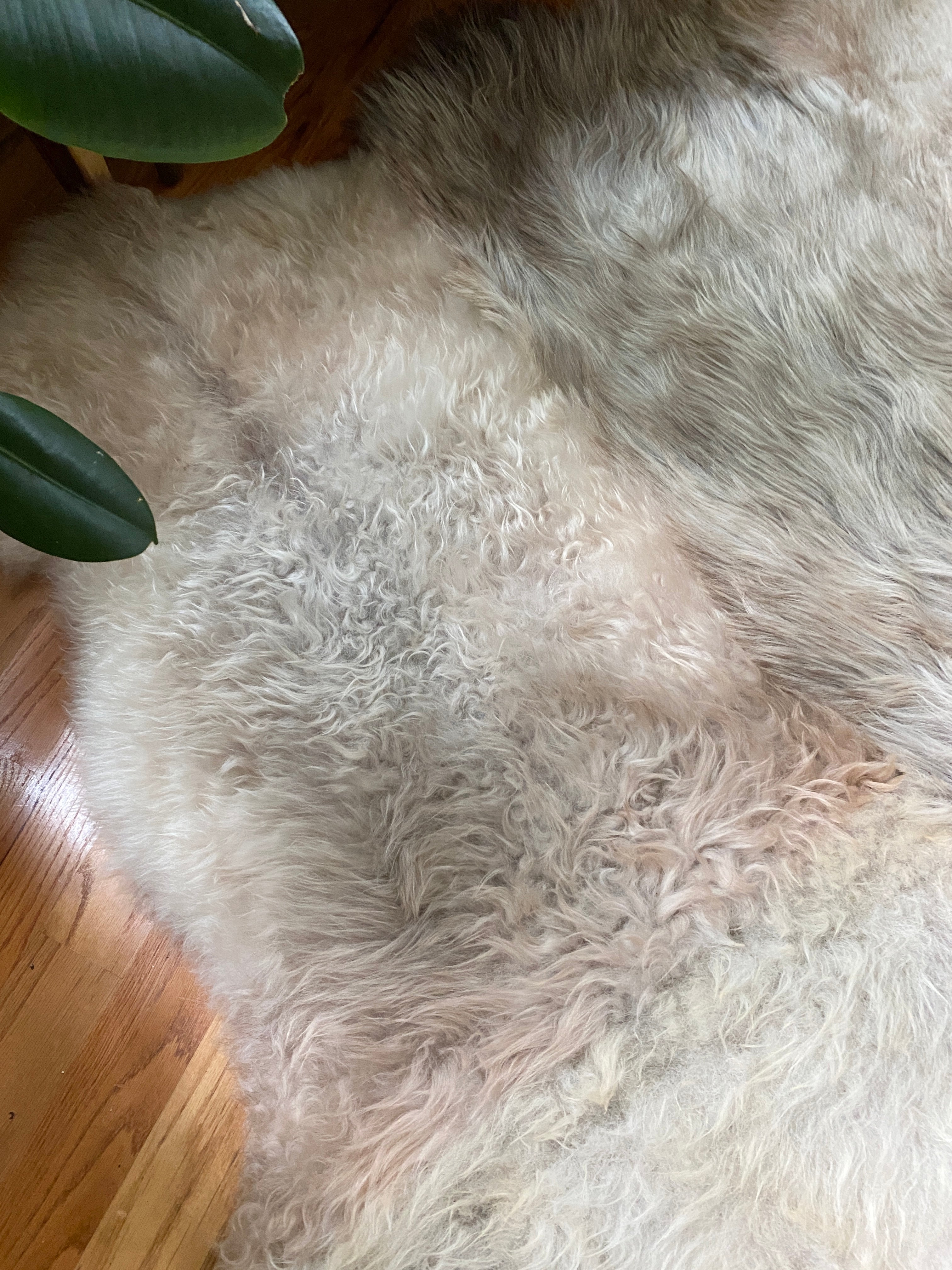 Sacred Spaces Collection: Sexto in Mixed Rosey Beige Grey (6 pelt)
