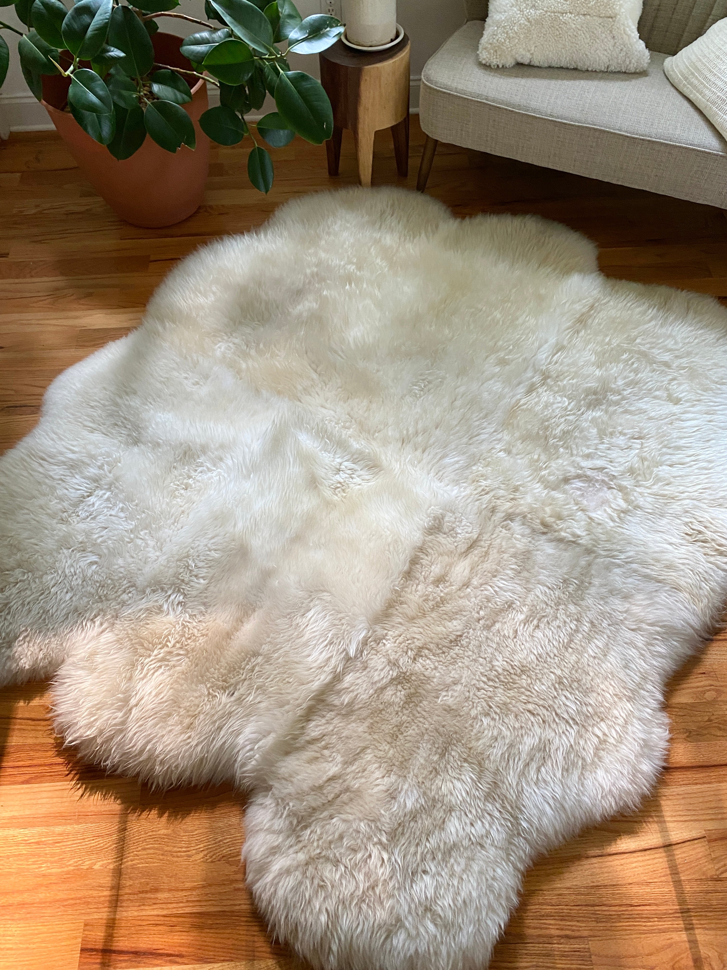 SACRED SPACES COLLECTION: GOLDEN IVORY SEXTO SHEEPSKIN