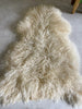 Top-view of longhaired ivory gotland