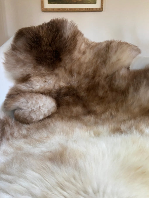 close up of mixed color super soft sheepskin 