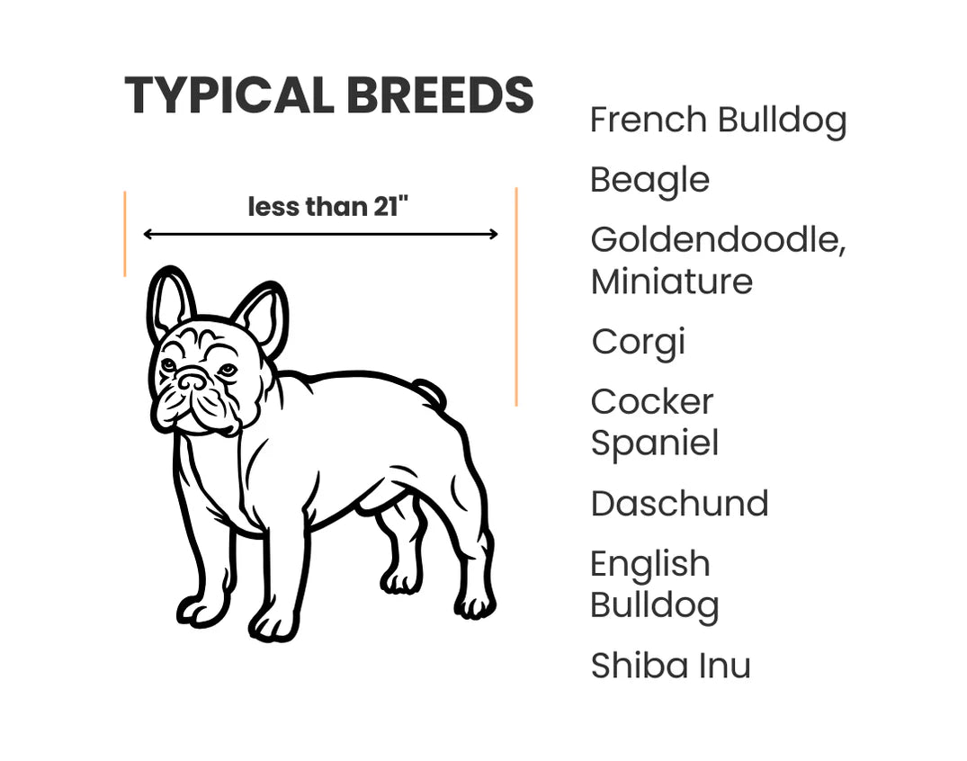 List of typical breeds for dogs less than 21 inches 