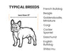 List of typical breeds for dogs less than 21 inches 