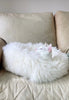 White cat lying on a plush ivory animal snug 