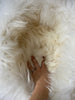 Texture of plush ivory animal snug
