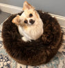 Small dog sitting in plush ivory animal snug