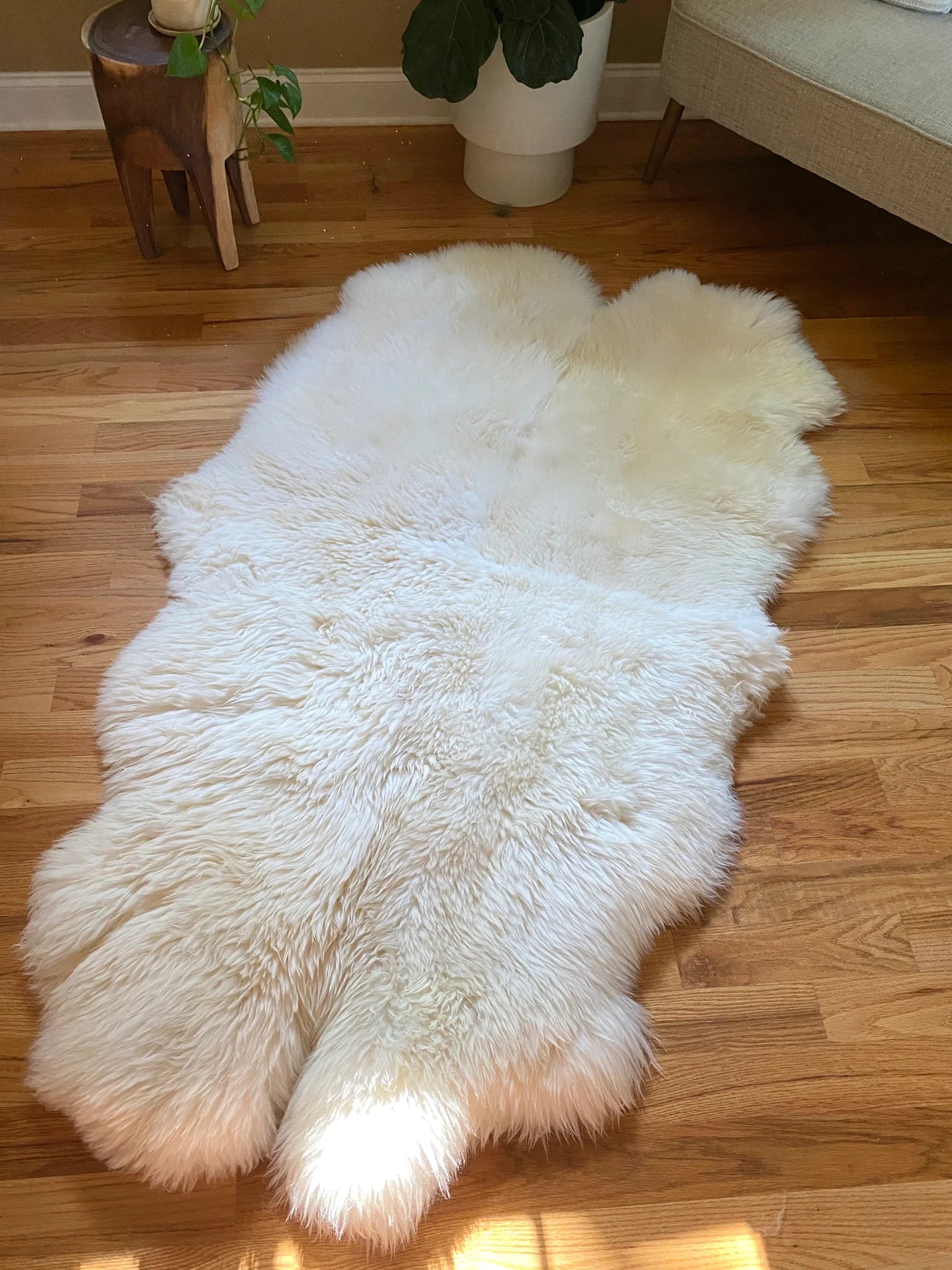 Plush quad pelt ivory sheepskin on a wooden floor 