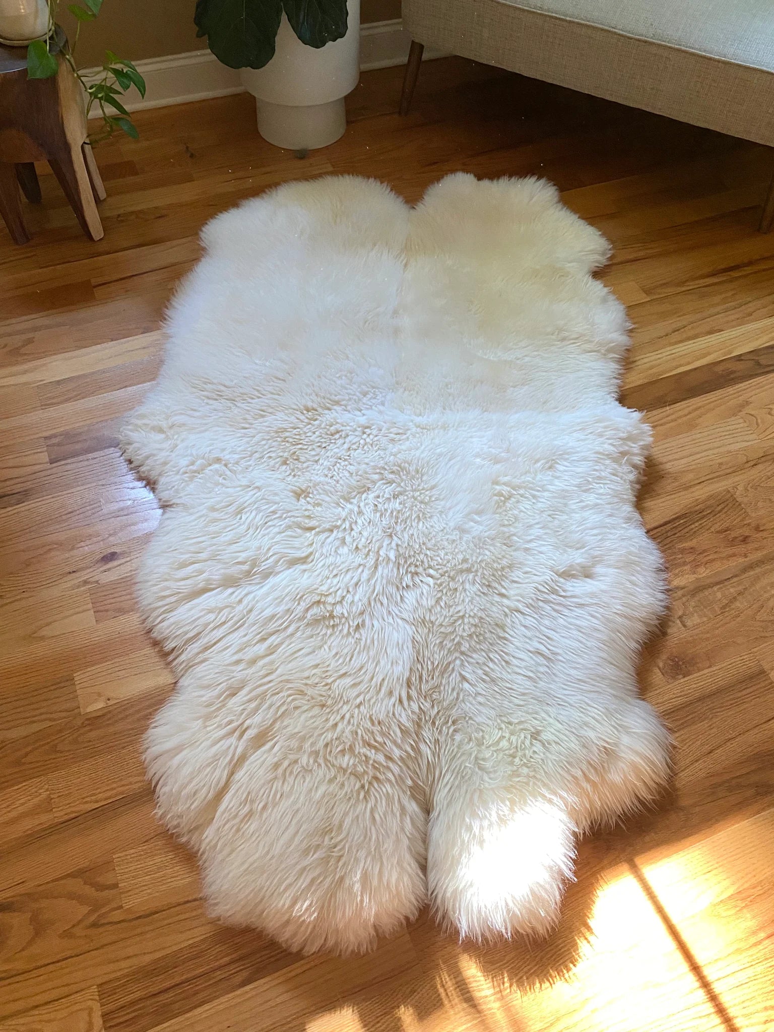 Top-view of plush quad pelt ivory sheepskin 