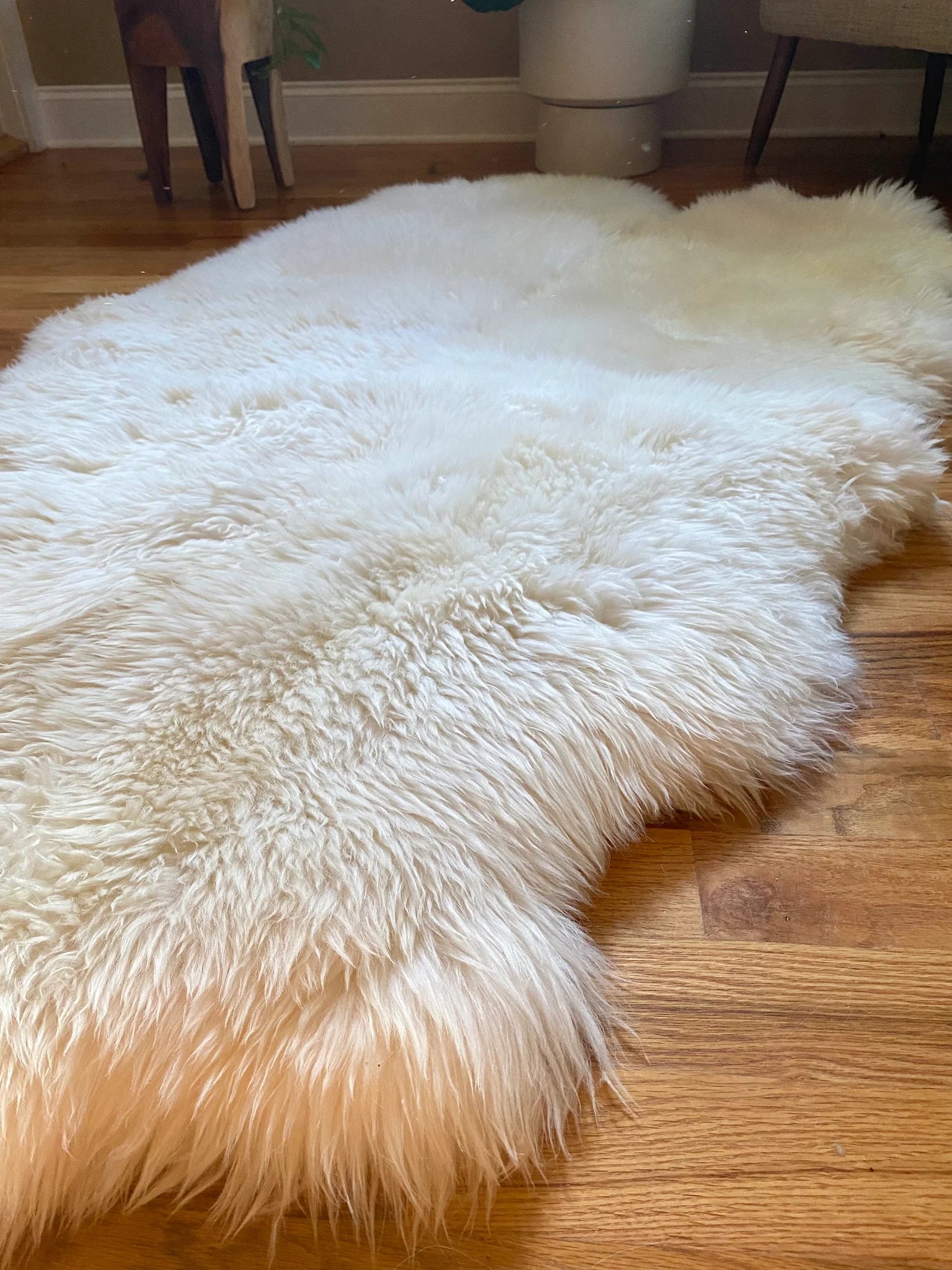 Side-view of plush quad pelt ivory sheepskin 