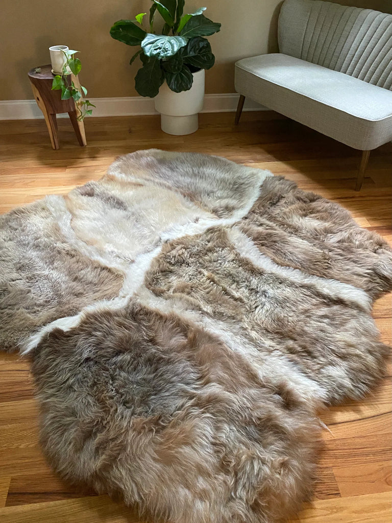 Sacred spaces collection asymmetrical stripes on a wooden floor with a couch and plants in the background