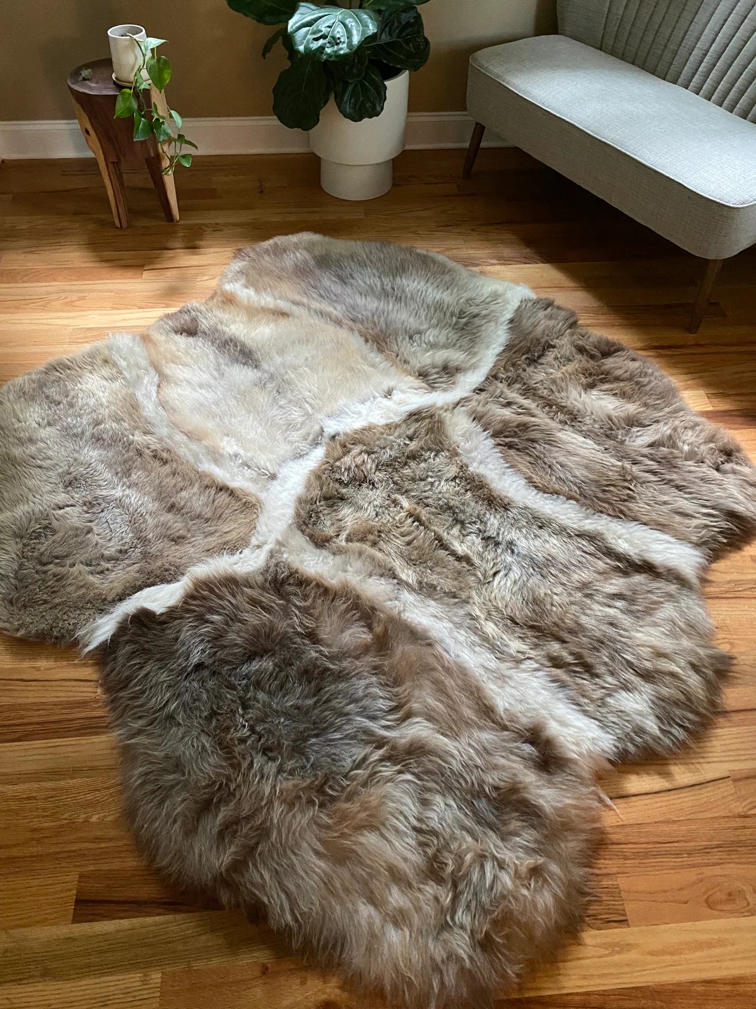 Sacred spaces collection asymmetrical stripes on a wooden floor 