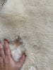 Close-up of soft plush texture of ivory sheepskin rug
