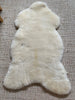 Top-down photo showing overall shape and size of ivory sheepskin rug