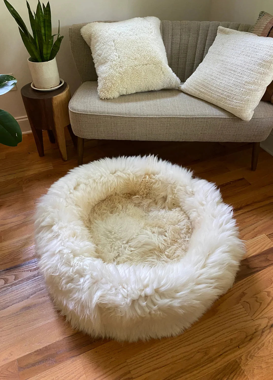 Top-view of sheepskin dog beds