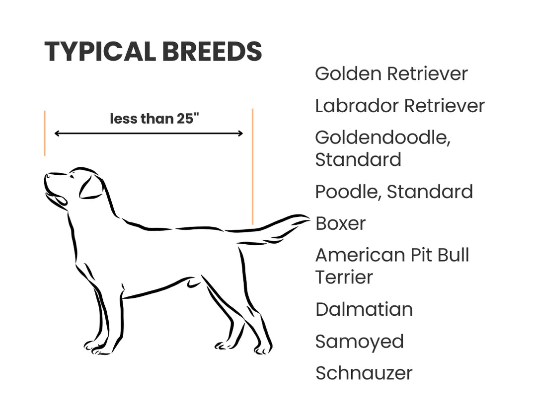 Diagram of a dog with height measurement and list of typical breeds