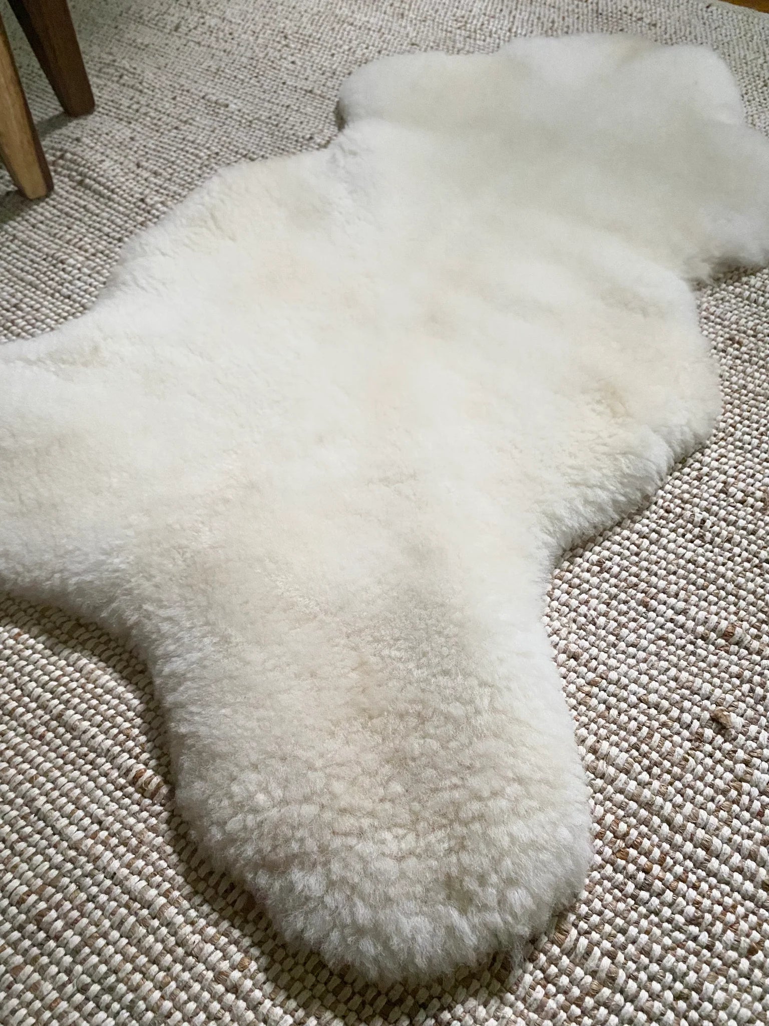 Side-view of short fur ivory sheepskin
