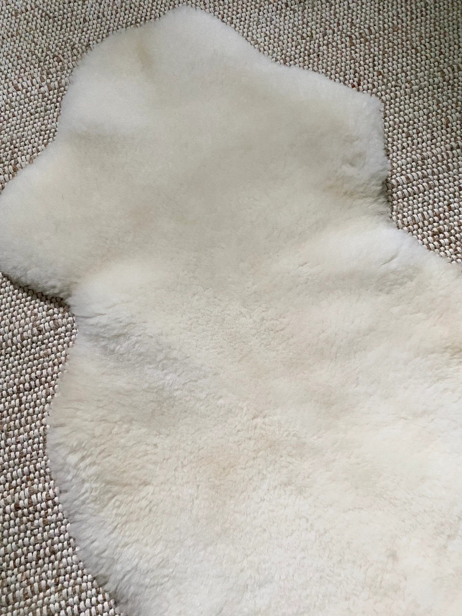 Top-view of short fur ivory sheepskin