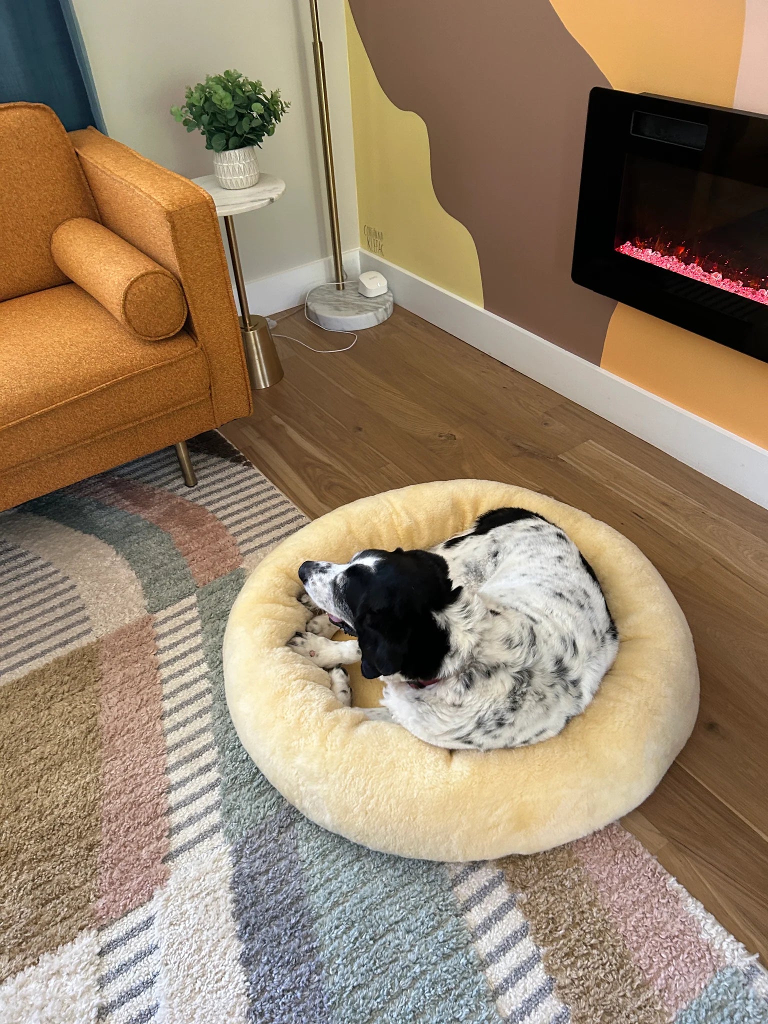 Dog lying on snugly short fur sheepskin dog bed living room with a fireplace 