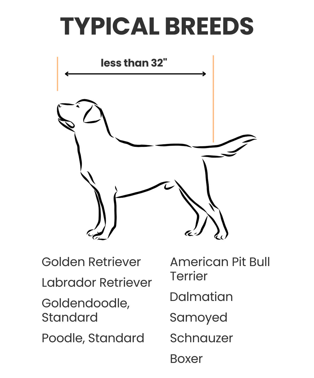 Diagram of a dog with height measurement 