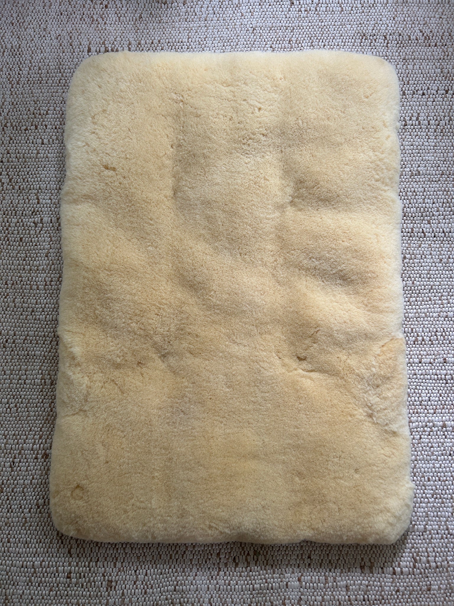 Top-view of the puppad