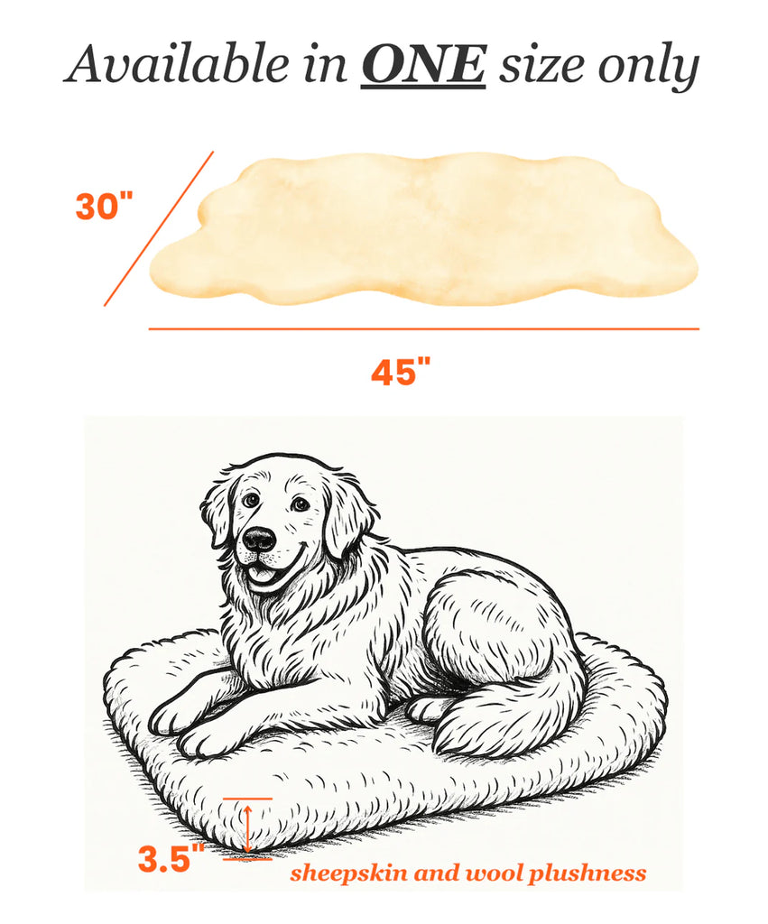 Measurement chart for the puppad