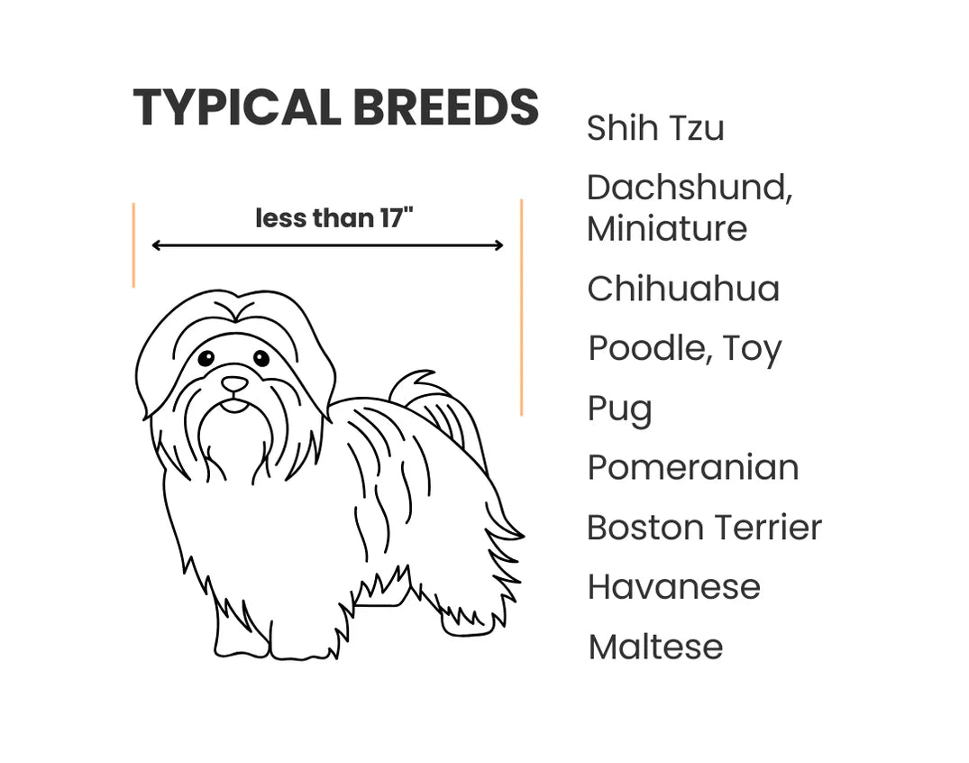 Diagram of typical small dog breeds 