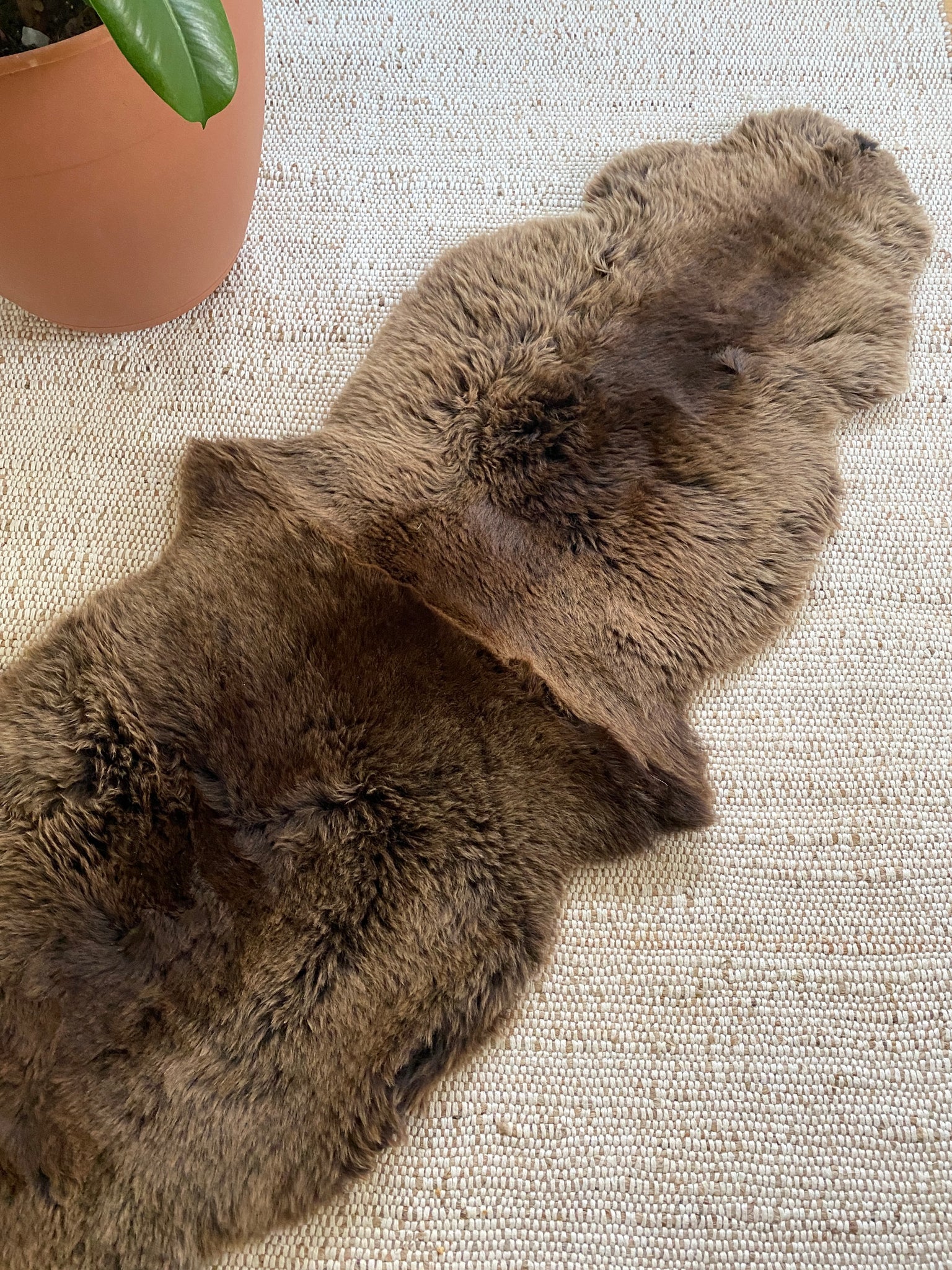 Vibrant brown double sheepskin