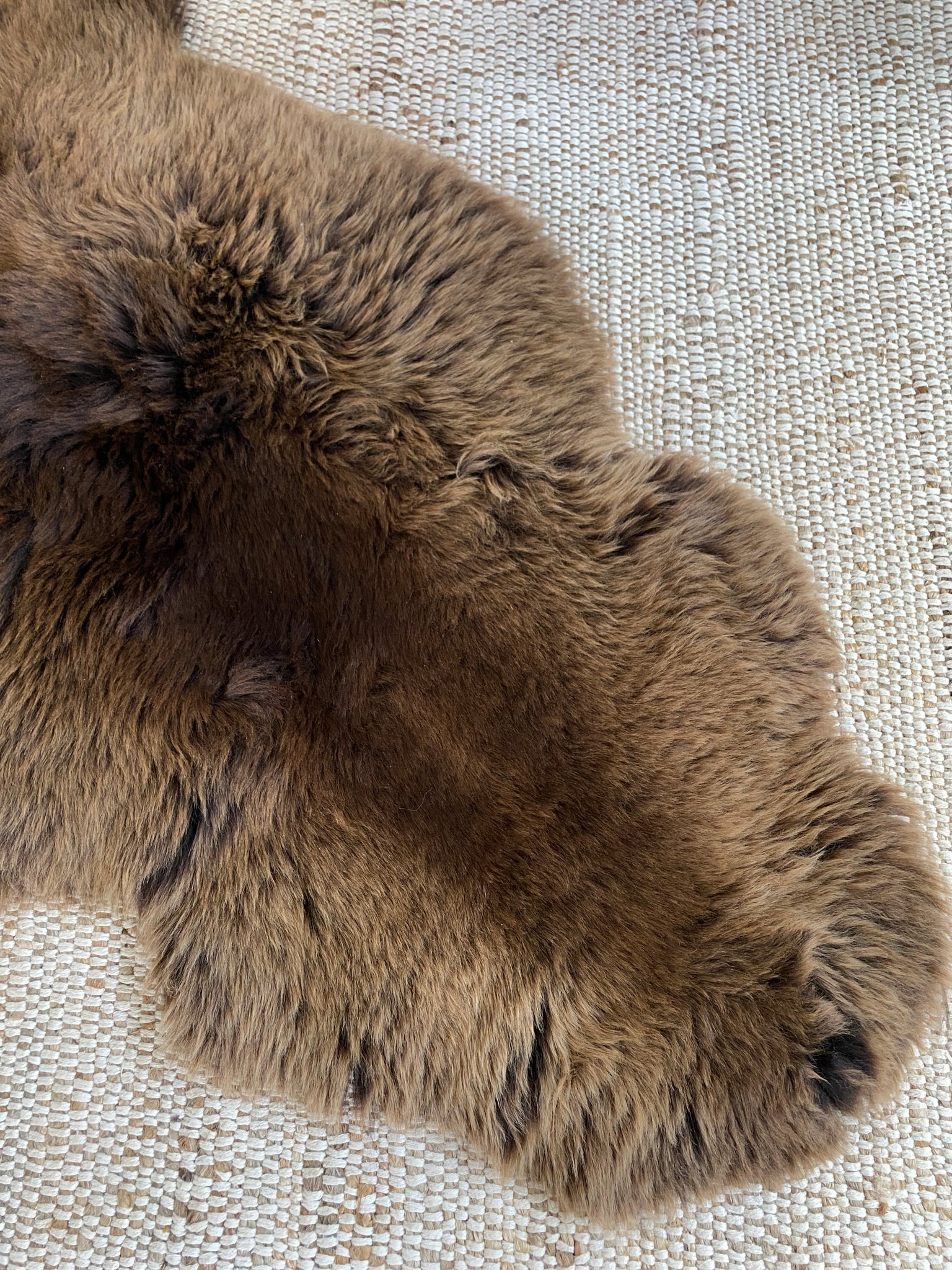 Close-up view of vibrant brown double sheepskin