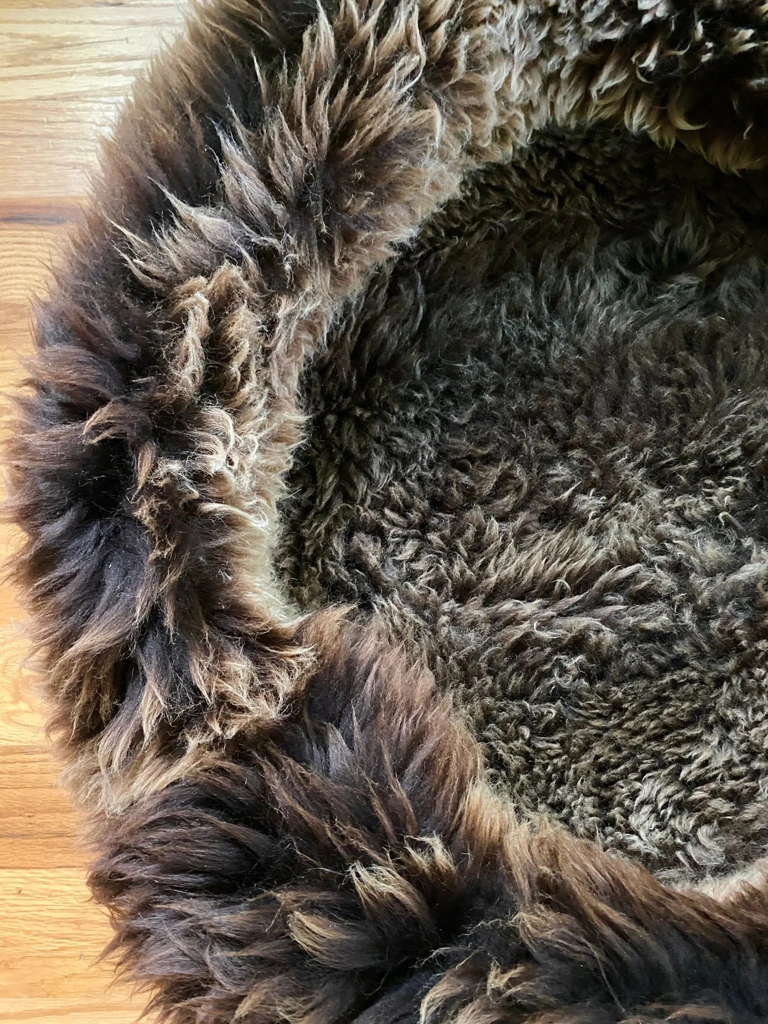 Close-up of fluffy brown pet bed 