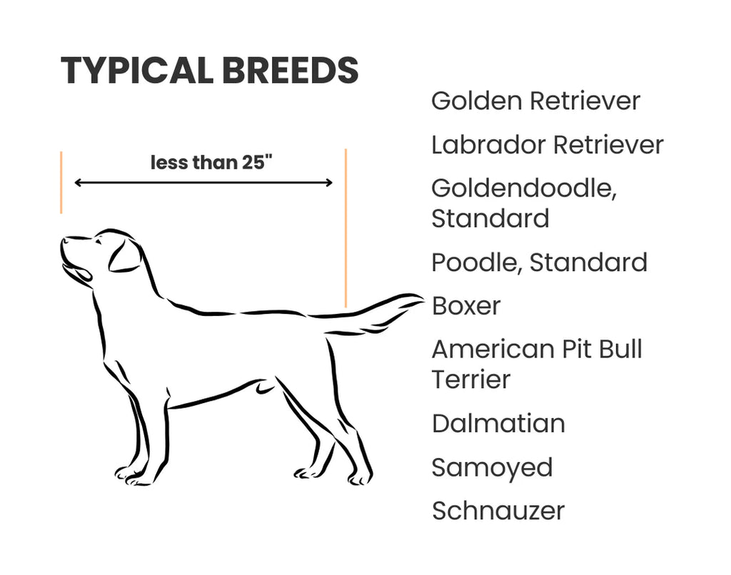 Diagram of a dog with height measurement