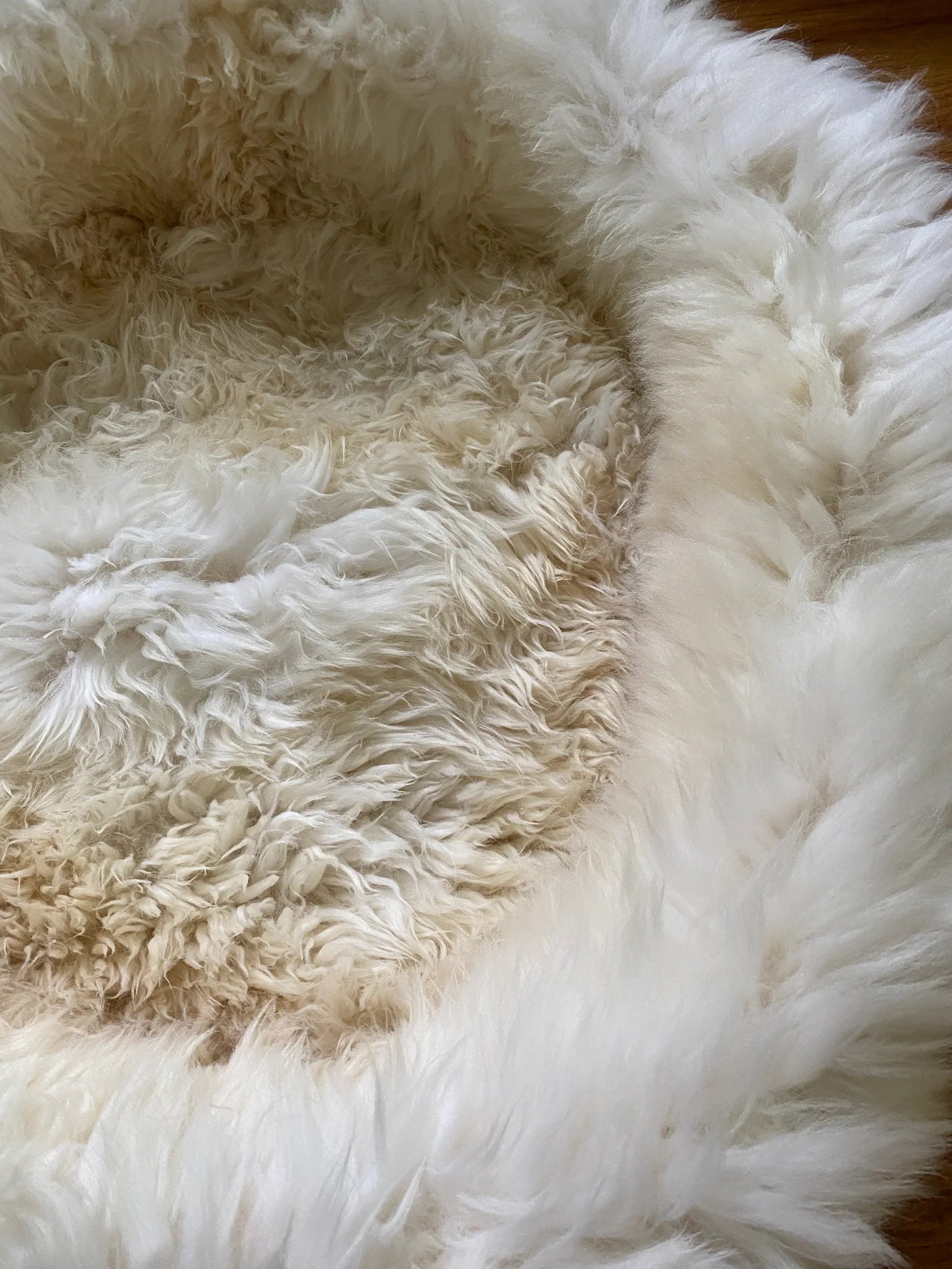 Top-view of fluffy pet bed 