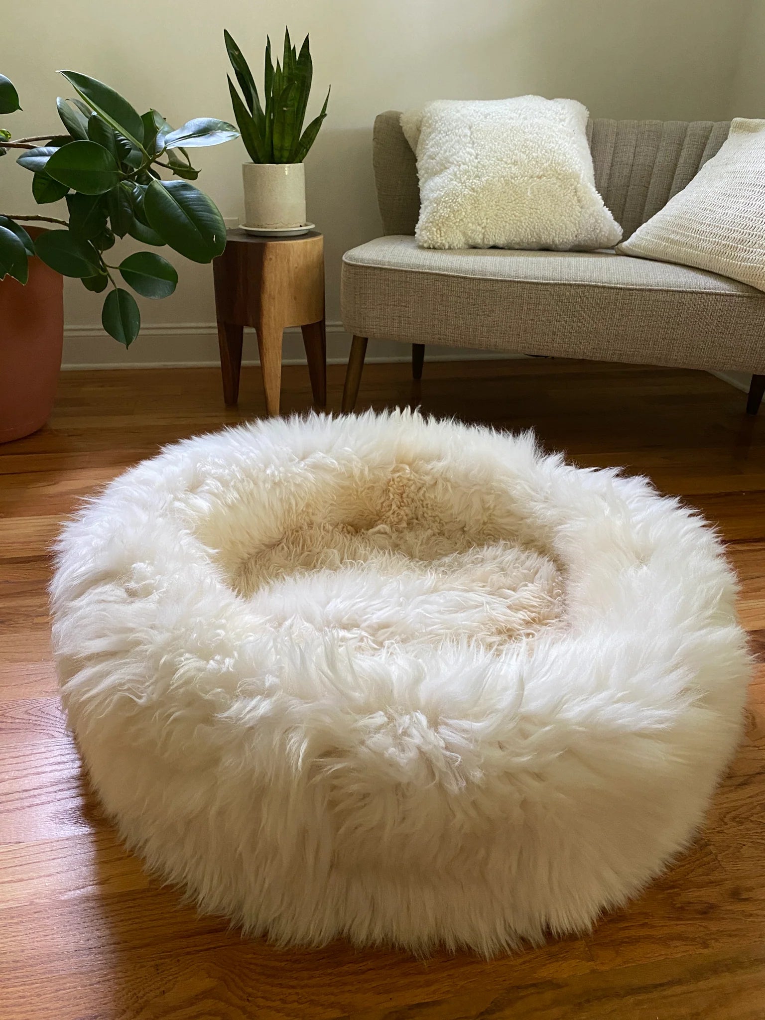 Side-view of fluffy pet bed inside