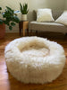 Side-view of fluffy pet bed inside