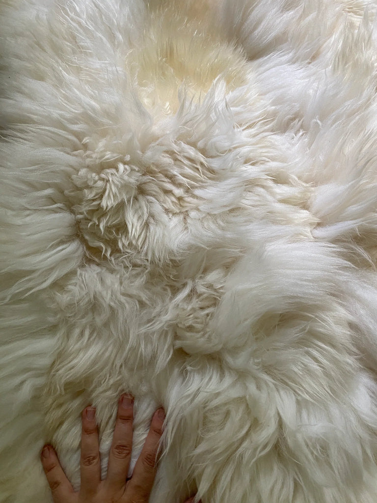 Textuer of Patchwork ivory sheepskin 