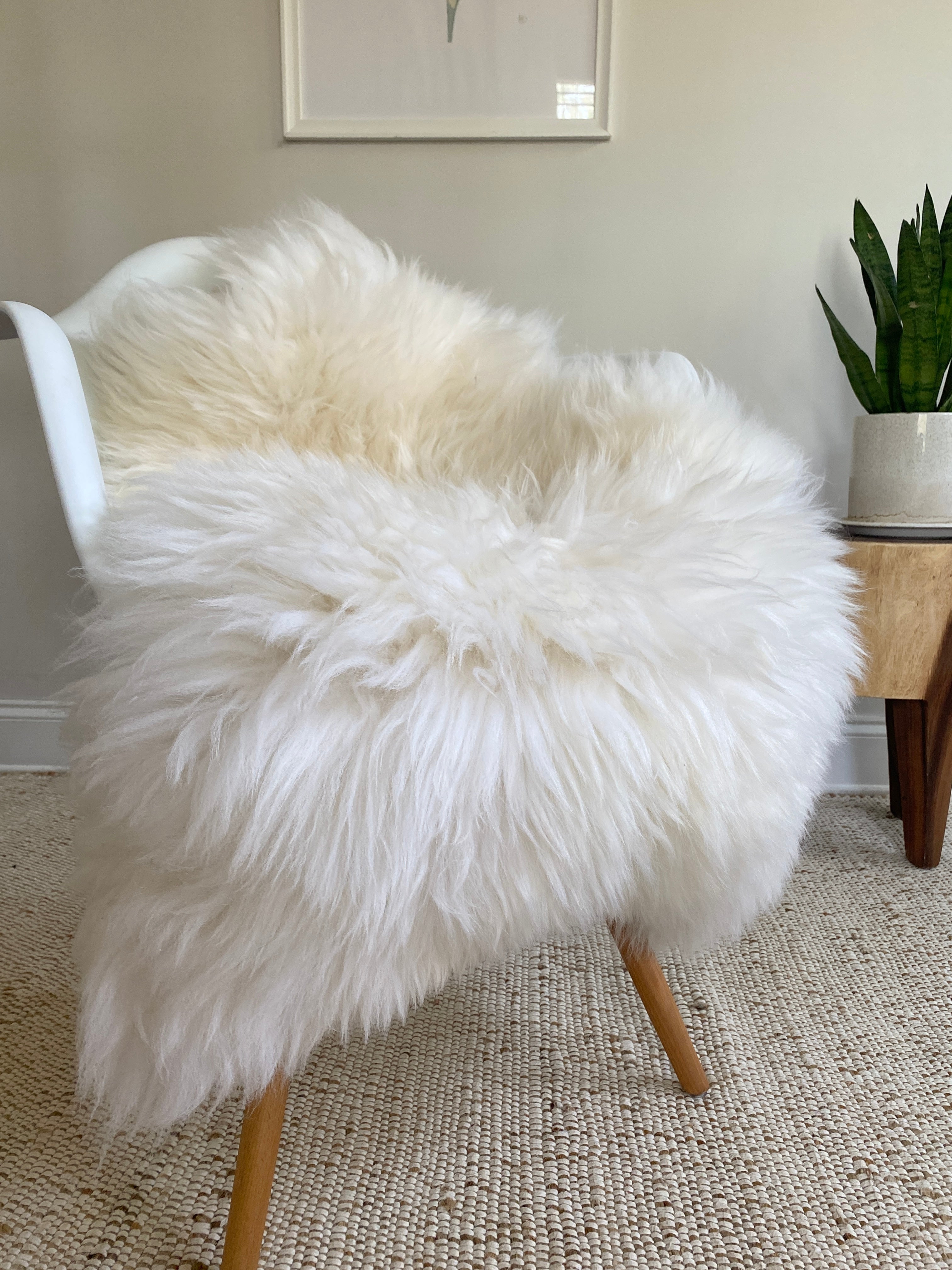 Plush Longhair Ivory Sheepskin