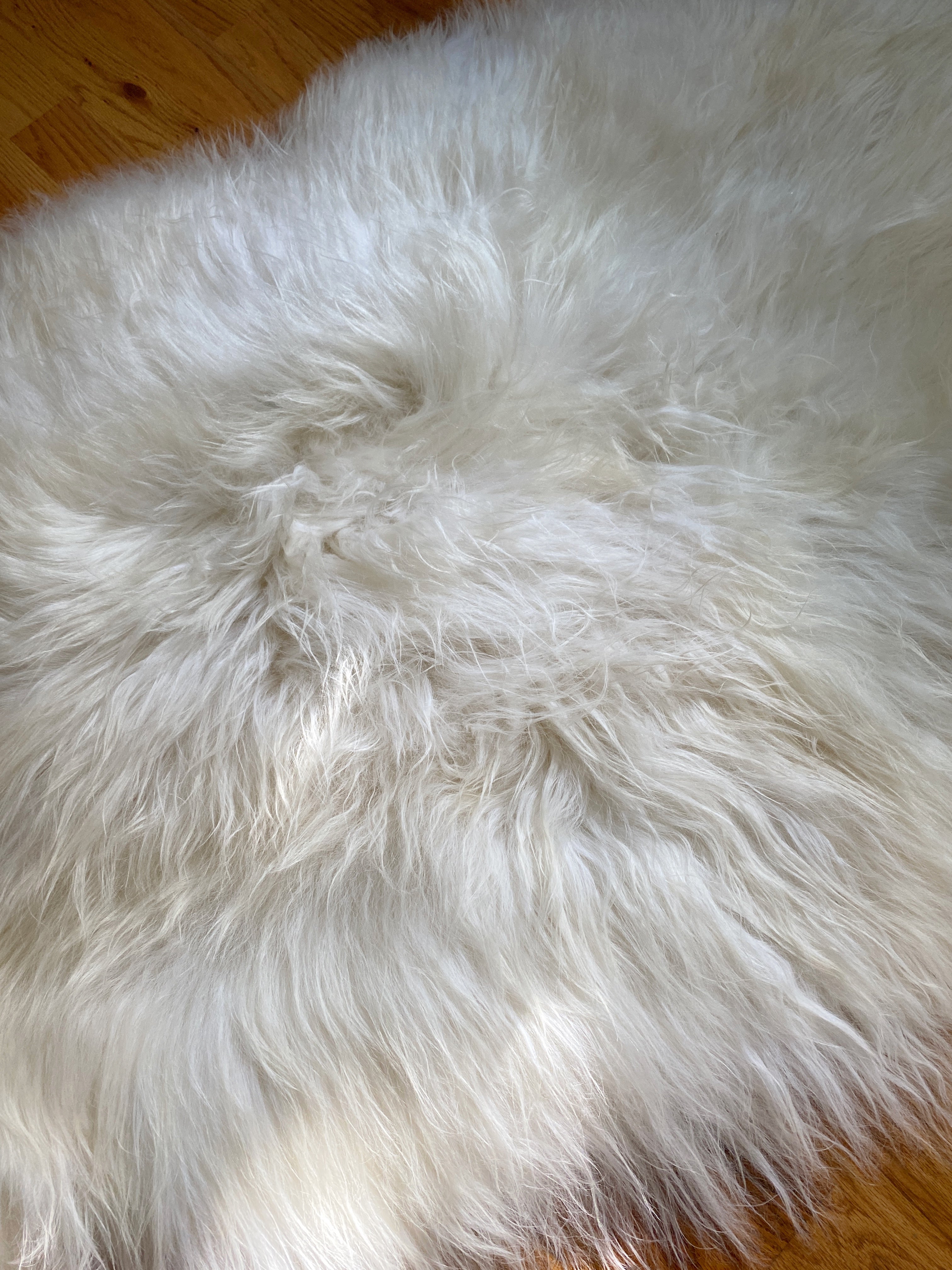 sheepskin pelt 