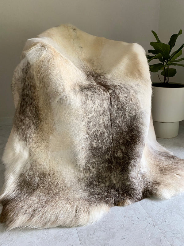 6 Reasons to Invest in our Double Sheepskin Rug– East Perry