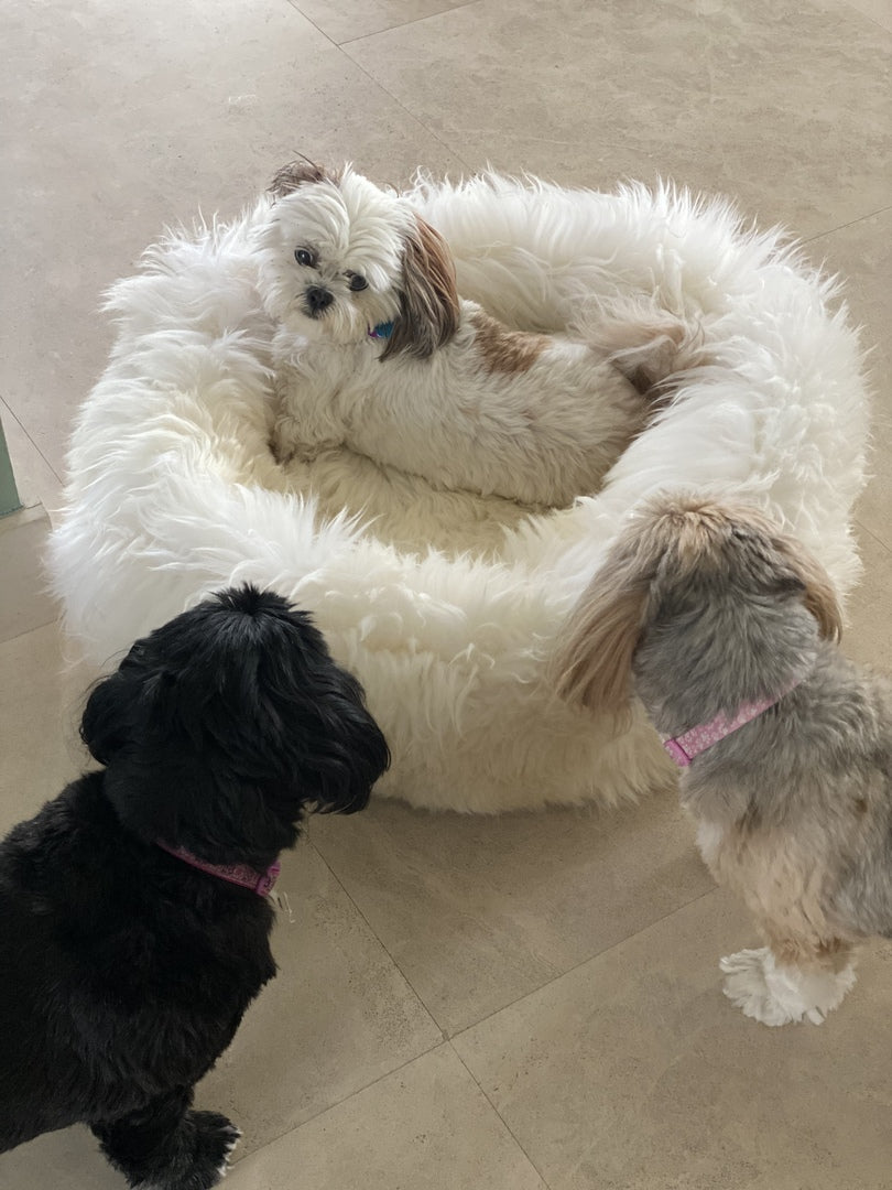 LARGE Plush Brown Sheepskin Pet Bed